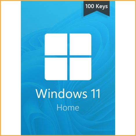 Windows 11 Home - 100 keys 