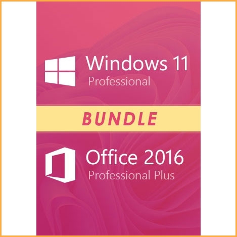 Buy Windows 11 Professional Plus and Office 2021 Professional Plus